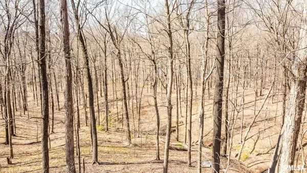 $320,000 | Tbd Berryville Road, Jonesboro, IL 62952