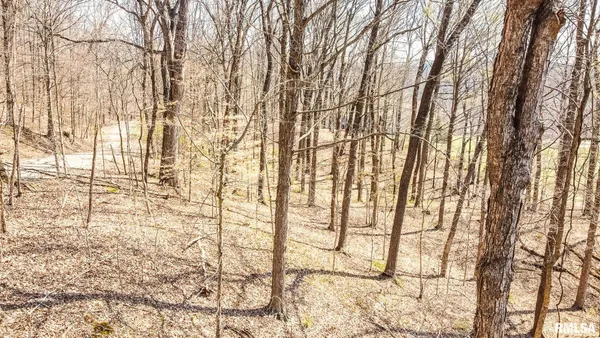 $320,000 | Tbd Berryville Road, Jonesboro, IL 62952