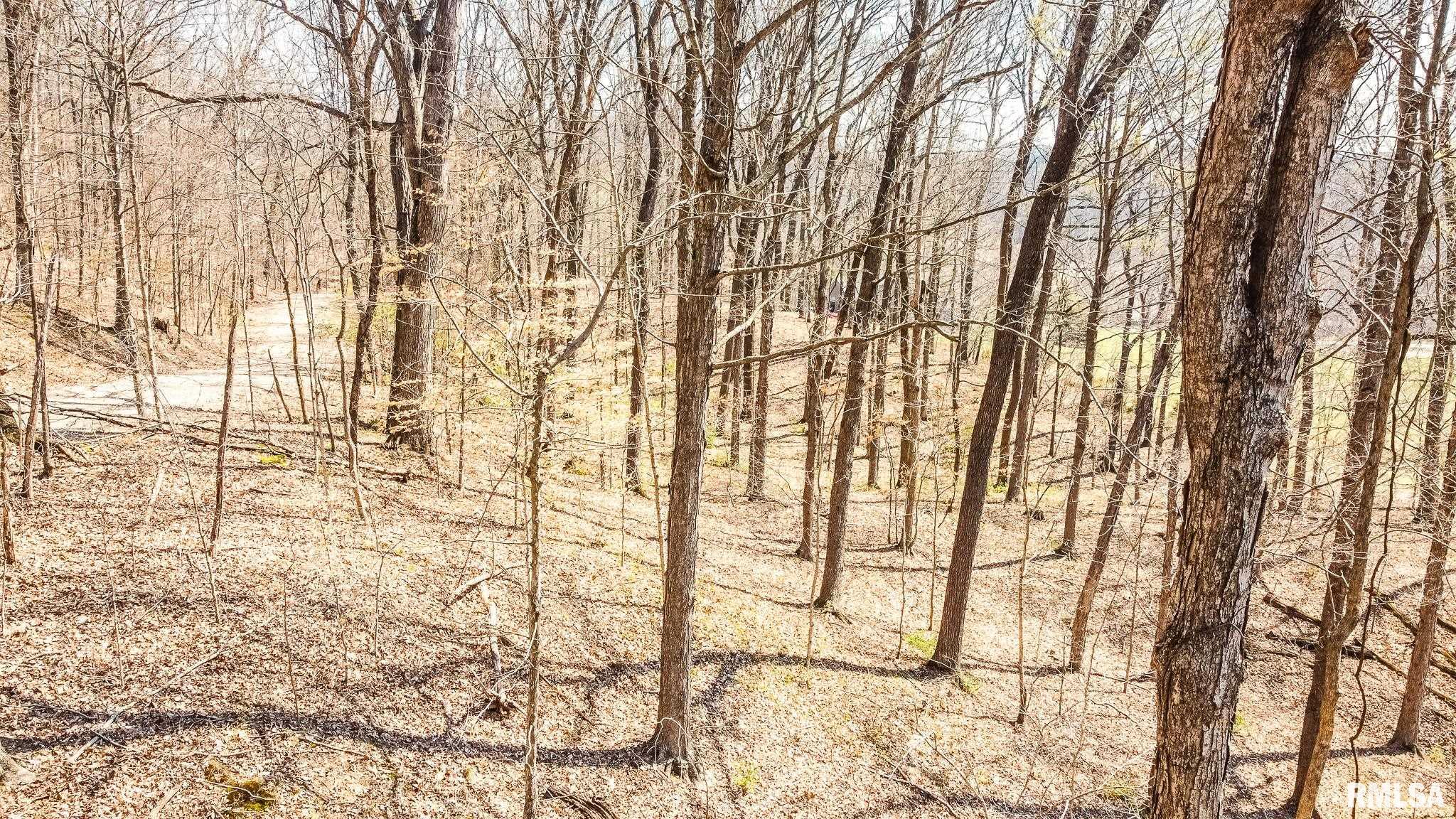 Tbd Berryville Road Jonesboro, IL 62952 - Photo 18 of 47