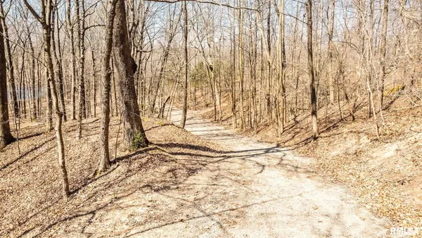 $320,000 | Tbd Berryville Road, Jonesboro, IL 62952