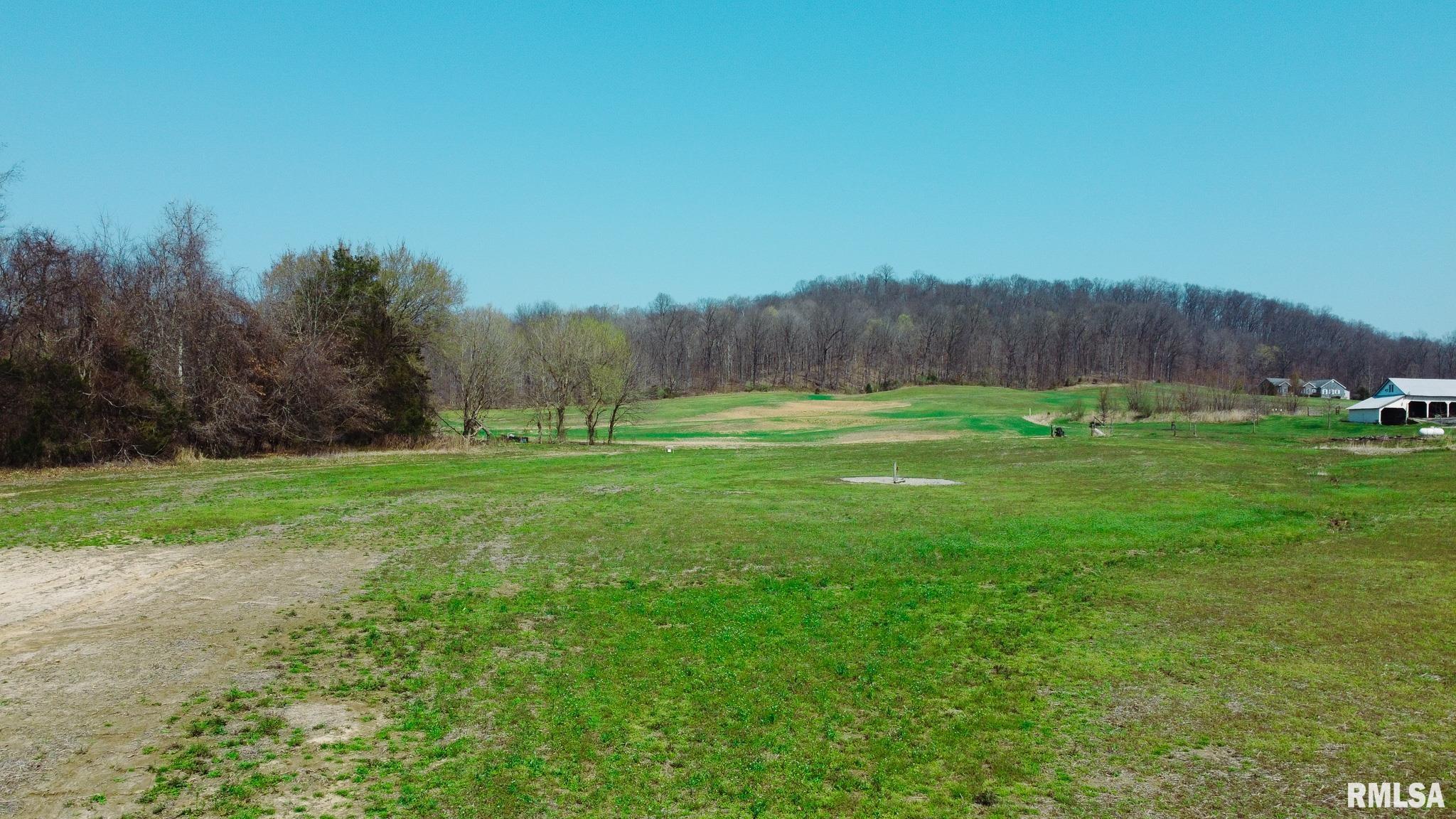 Tbd Berryville Road Jonesboro, IL 62952 - Photo 20 of 47