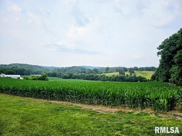 $320,000 | Tbd Berryville Road, Jonesboro, IL 62952