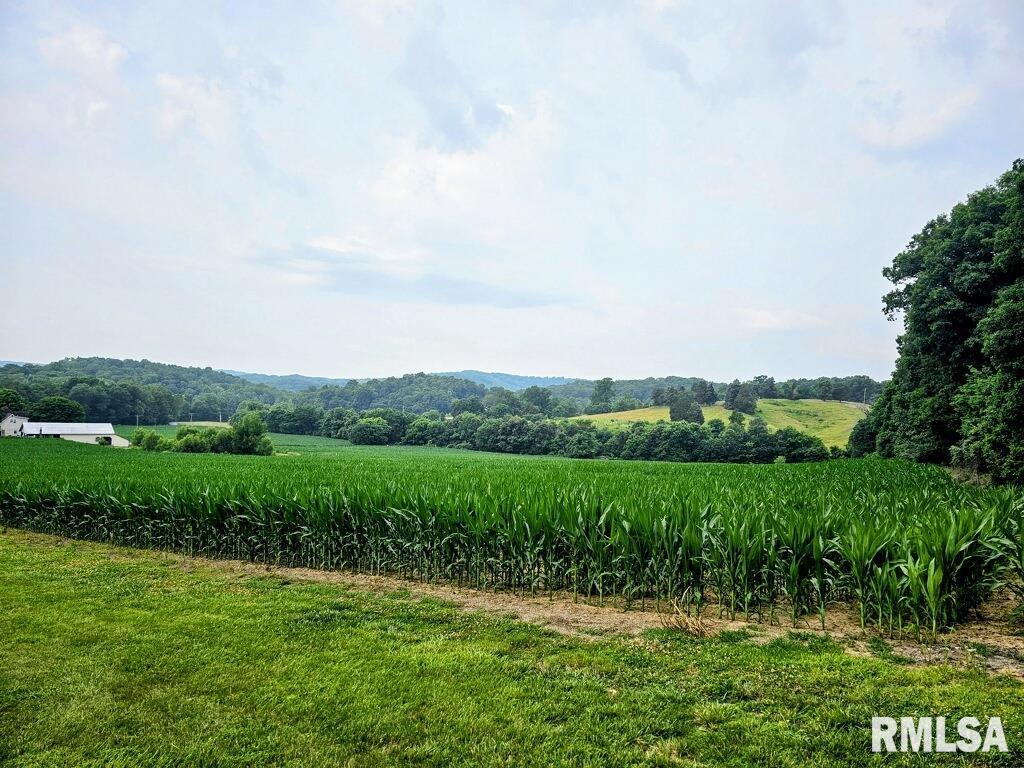 Tbd Berryville Road Jonesboro, IL 62952 - Photo 2 of 5