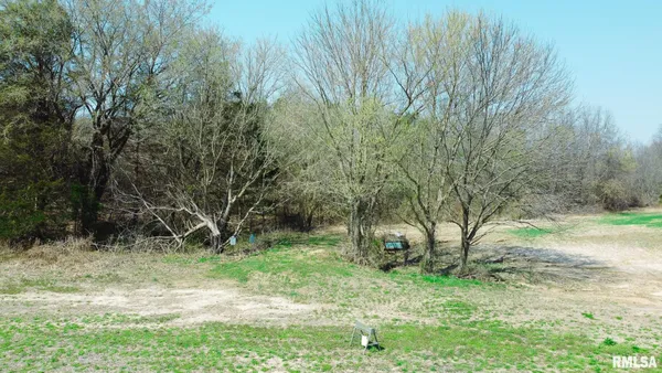 $320,000 | Tbd Berryville Road, Jonesboro, IL 62952