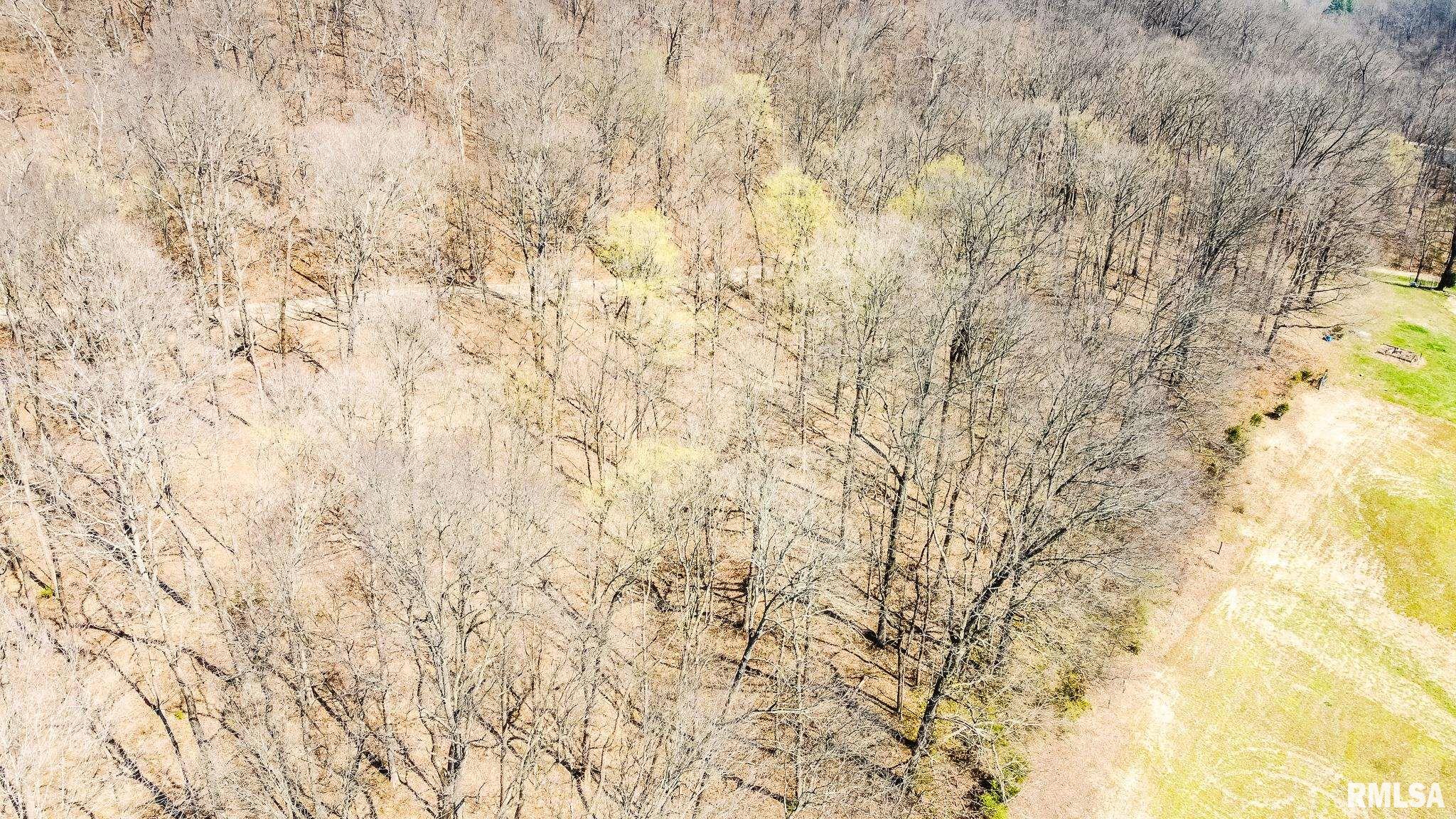 Tbd Berryville Road Jonesboro, IL 62952 - Photo 29 of 47