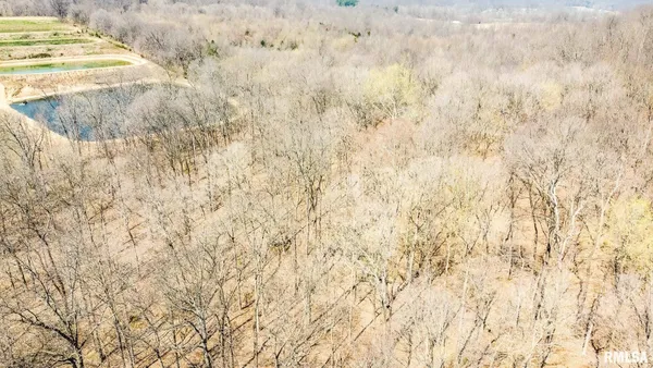 $320,000 | Tbd Berryville Road, Jonesboro, IL 62952