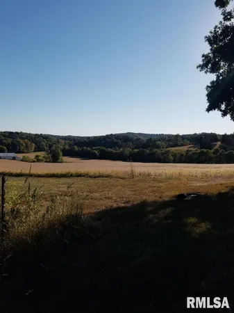 $320,000 | Tbd Berryville Road, Jonesboro, IL 62952