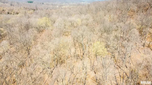 $320,000 | Tbd Berryville Road, Jonesboro, IL 62952