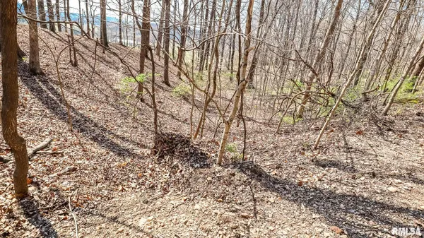 $320,000 | Tbd Berryville Road, Jonesboro, IL 62952