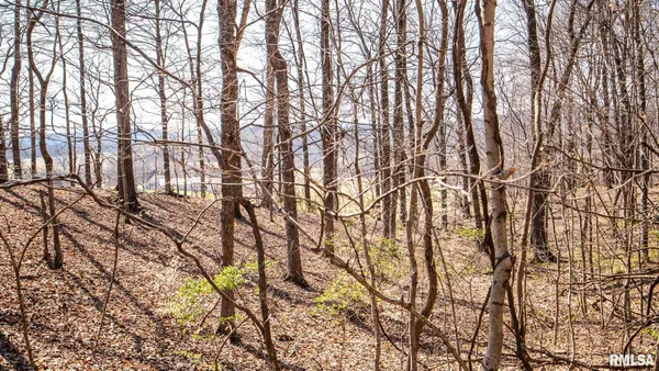 $320,000 | Tbd Berryville Road, Jonesboro, IL 62952