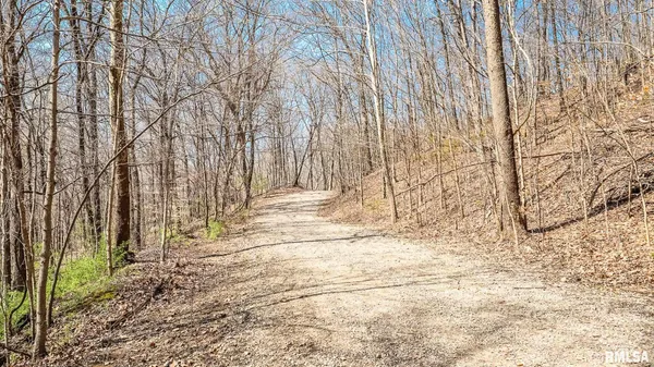 $320,000 | Tbd Berryville Road, Jonesboro, IL 62952