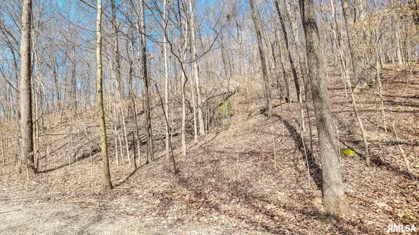 $320,000 | Tbd Berryville Road, Jonesboro, IL 62952