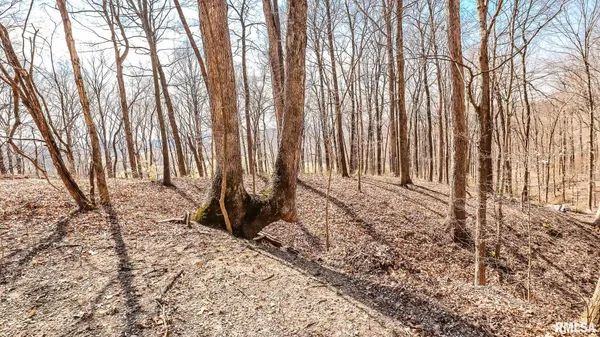 $320,000 | Tbd Berryville Road, Jonesboro, IL 62952