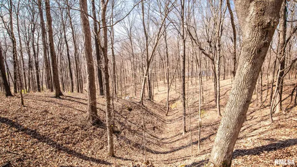 $320,000 | Tbd Berryville Road, Jonesboro, IL 62952