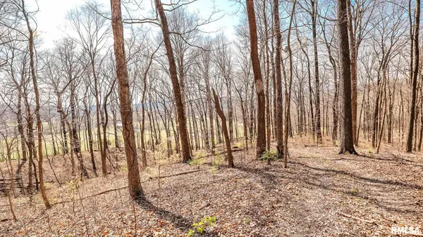 $320,000 | Tbd Berryville Road, Jonesboro, IL 62952