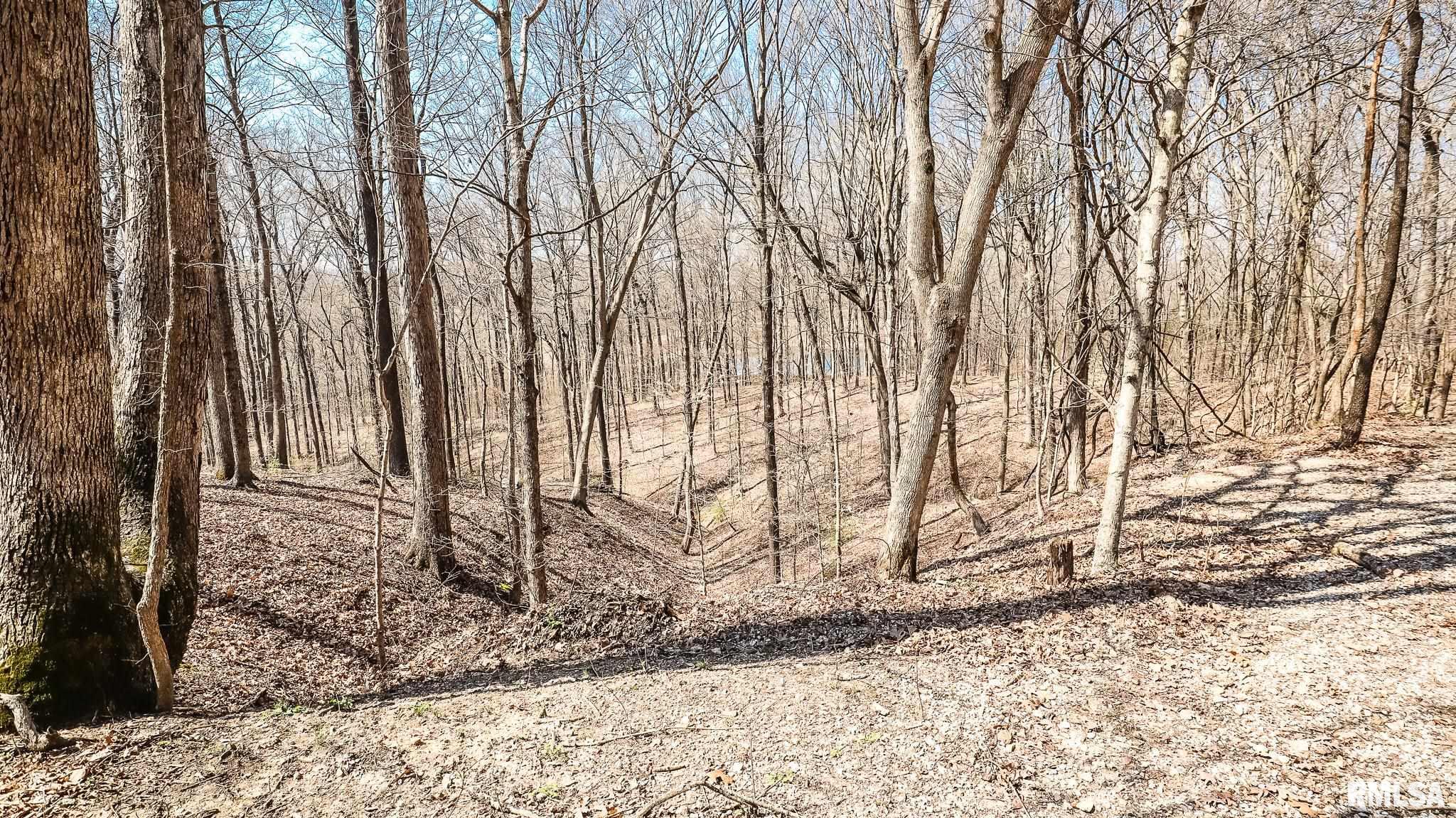Tbd Berryville Road Jonesboro, IL 62952 - Photo 44 of 47