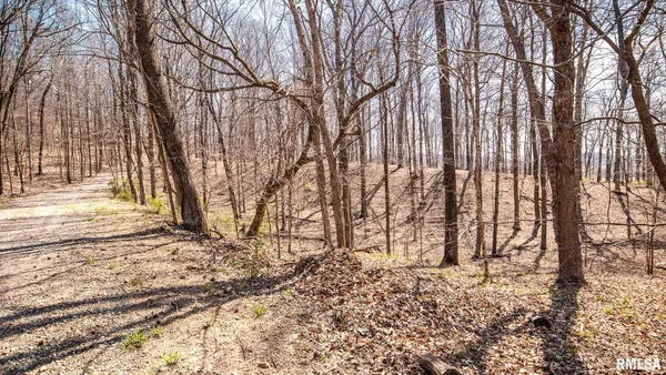 $320,000 | Tbd Berryville Road, Jonesboro, IL 62952