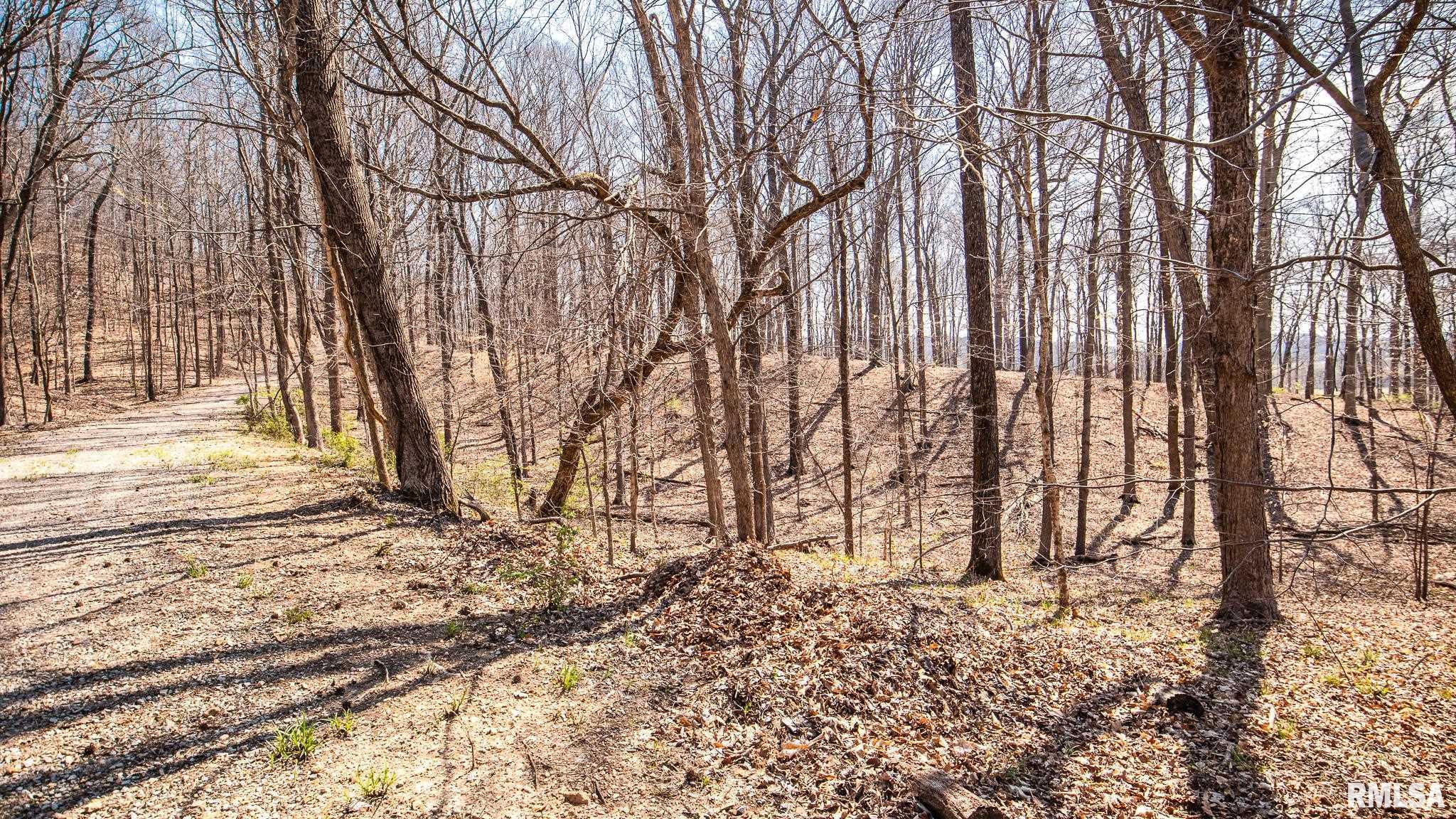 Tbd Berryville Road Jonesboro, IL 62952 - Photo 45 of 47