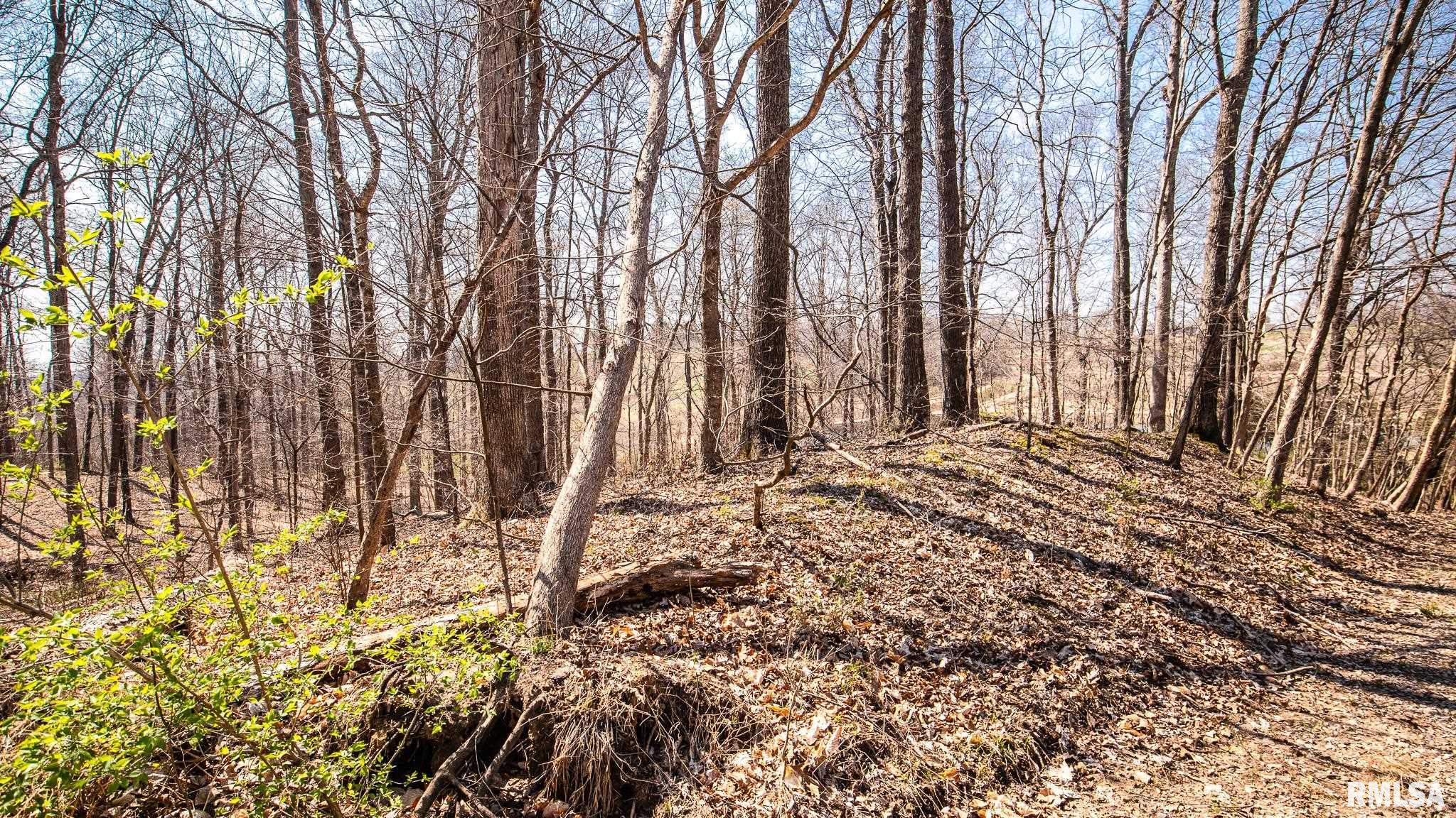 Tbd Berryville Road Jonesboro, IL 62952 - Photo 47 of 47