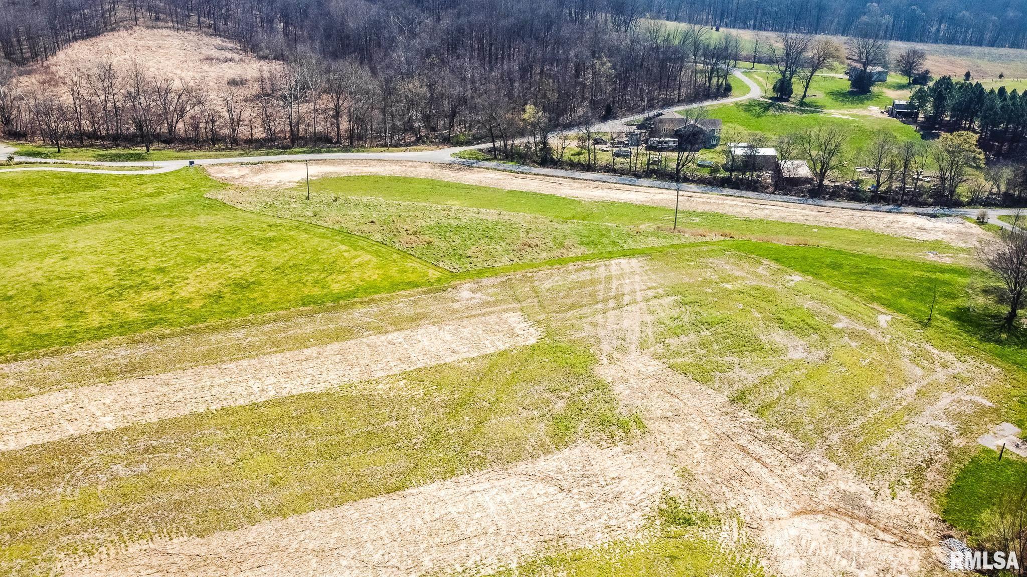 Tbd Berryville Road Jonesboro, IL 62952 - Photo 9 of 47
