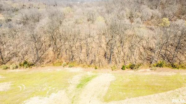 $320,000 | Tbd Berryville Road, Jonesboro, IL 62952