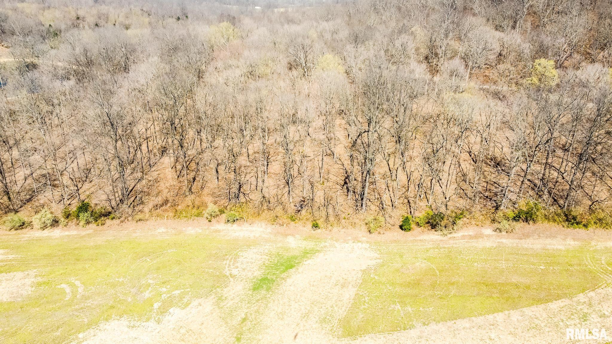 Tbd Berryville Road Jonesboro, IL 62952 - Photo 10 of 47