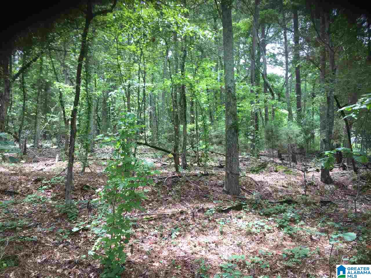 Black Acres Road, Unit 34 Odenville, AL 35120 - Photo 19 of 19