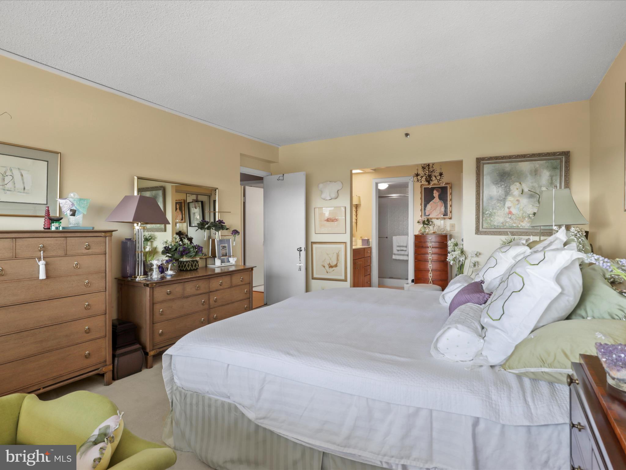 5501 Seminary Road, Unit 1611S Falls Church, VA 22041 - Photo 18 of 39 Gallery Image 18