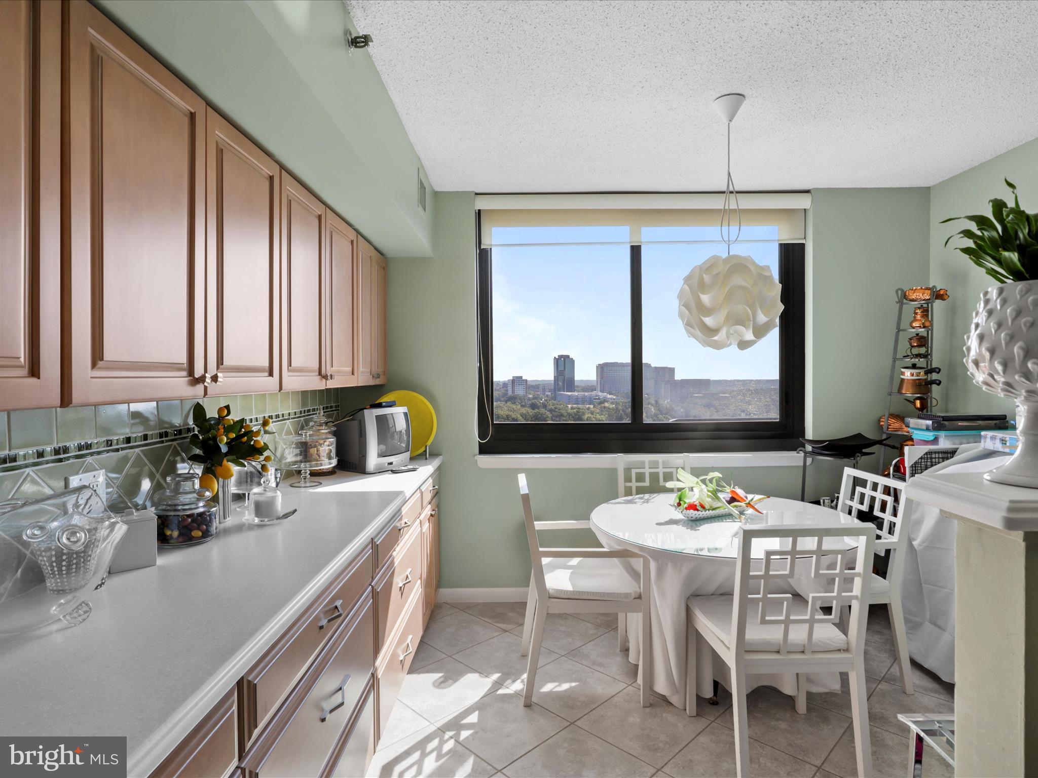 5501 Seminary Road, Unit 1611S Falls Church, VA 22041 - Photo 6 of 39 Gallery Image 6