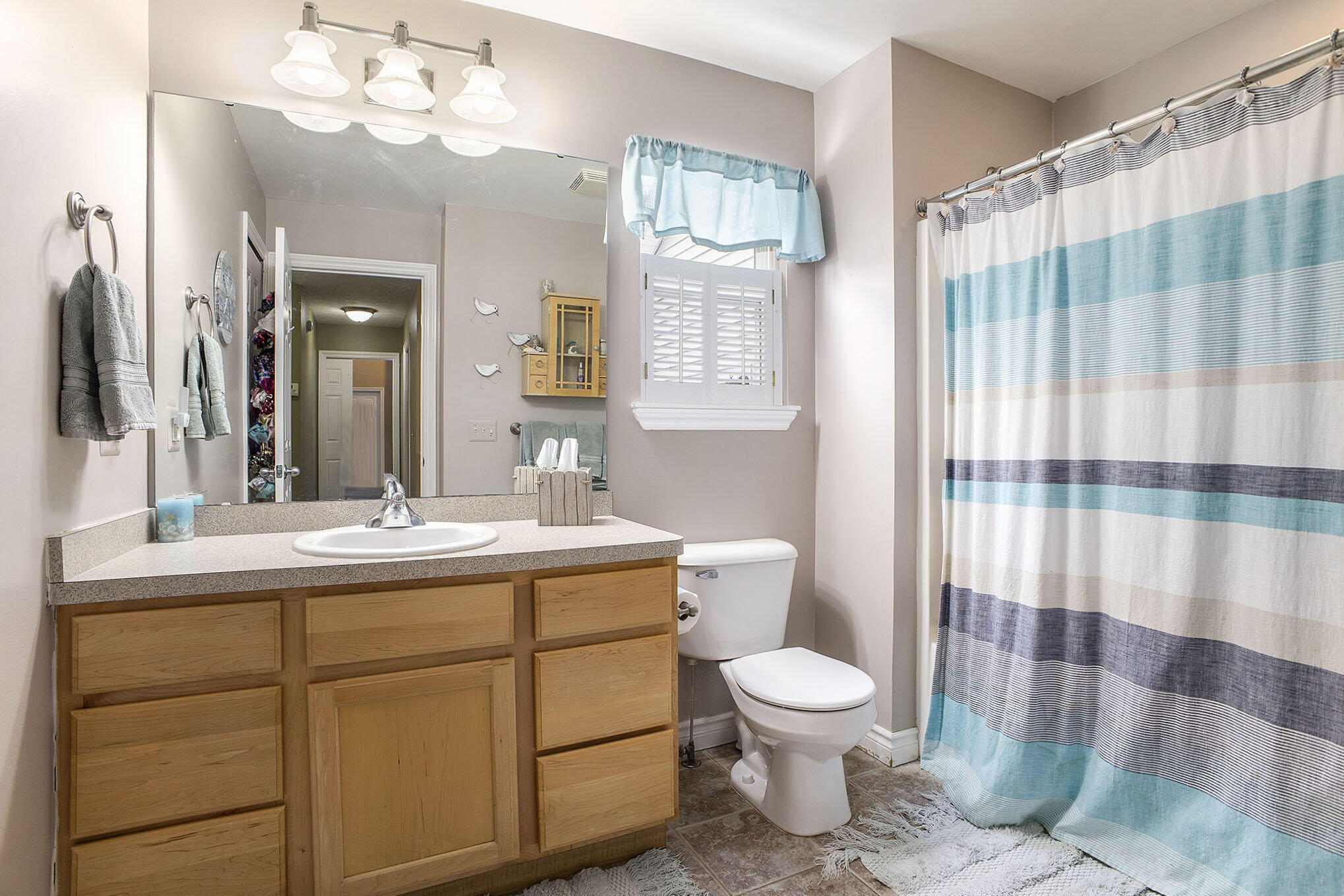 9843 Iosco Ridge Drive Gregory, MI 48137 - Photo 15 of 25 Full bathroom