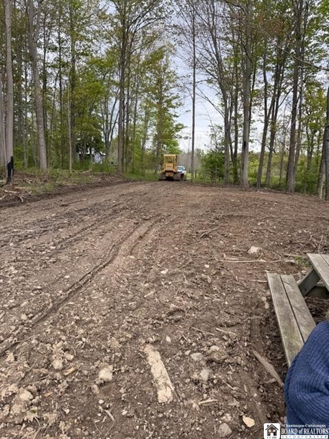 4371 Lawson Road Busti, NY 14701 - Photo 5 of 6