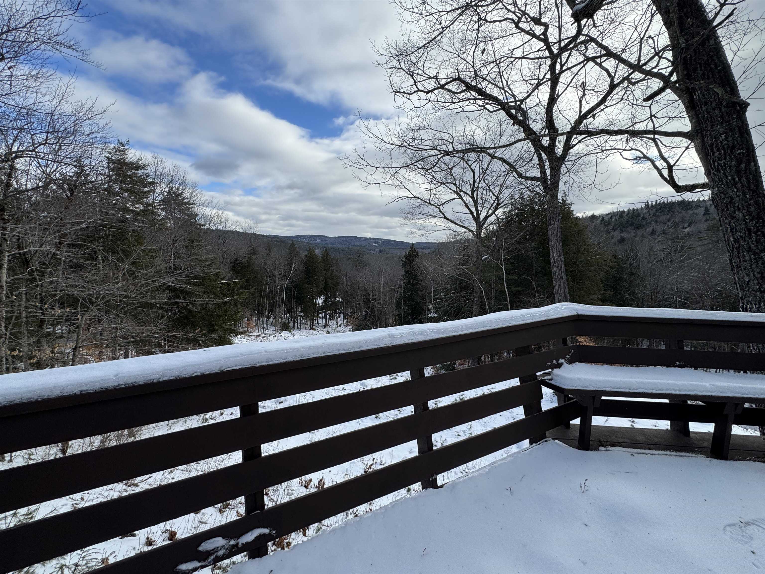 46 Red Pine Road Madison, NH 03849 - Photo 3 of 60 Gallery Image 3