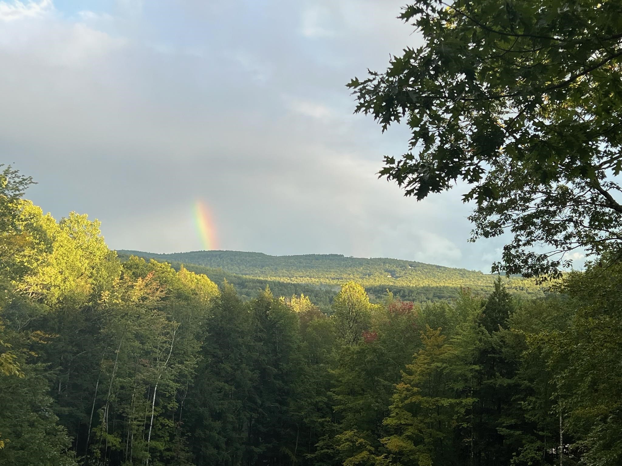 46 Red Pine Road Madison, NH 03849 - Photo 59 of 60