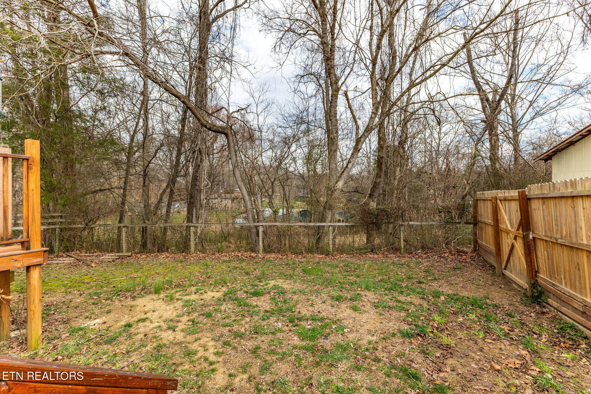 225 Capps Road Harriman, TN 37748 - Photo 47 of 58 48-web-or-mls-3F1A5024-HDR