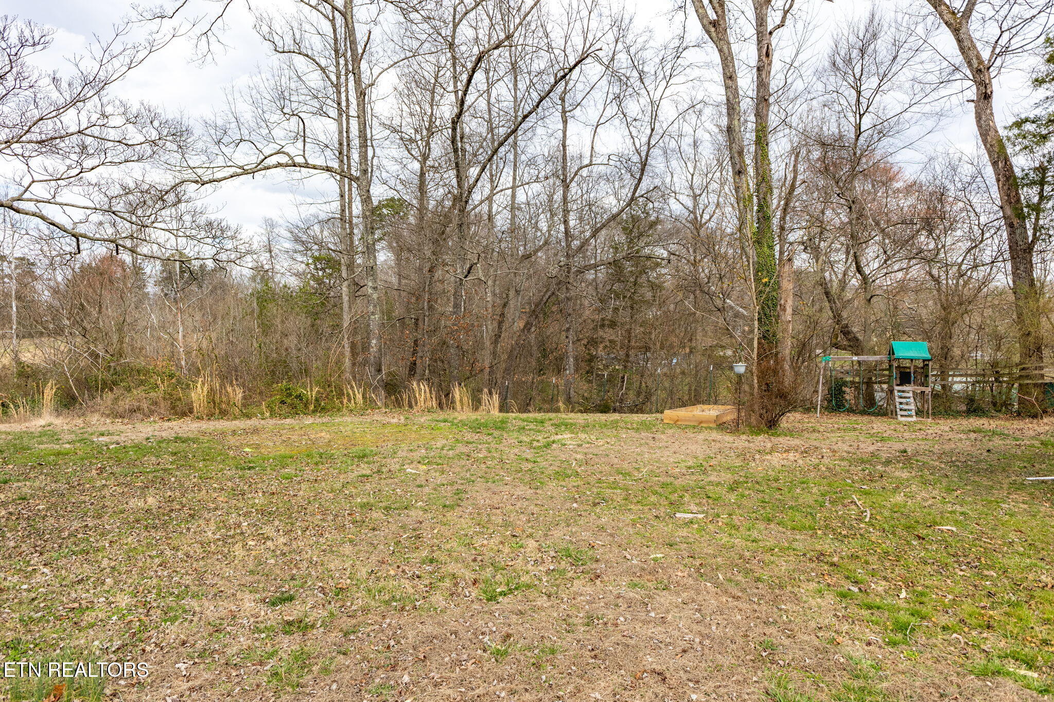 225 Capps Road Harriman, TN 37748 - Photo 50 of 58 51-web-or-mls-3F1A5033-HDR