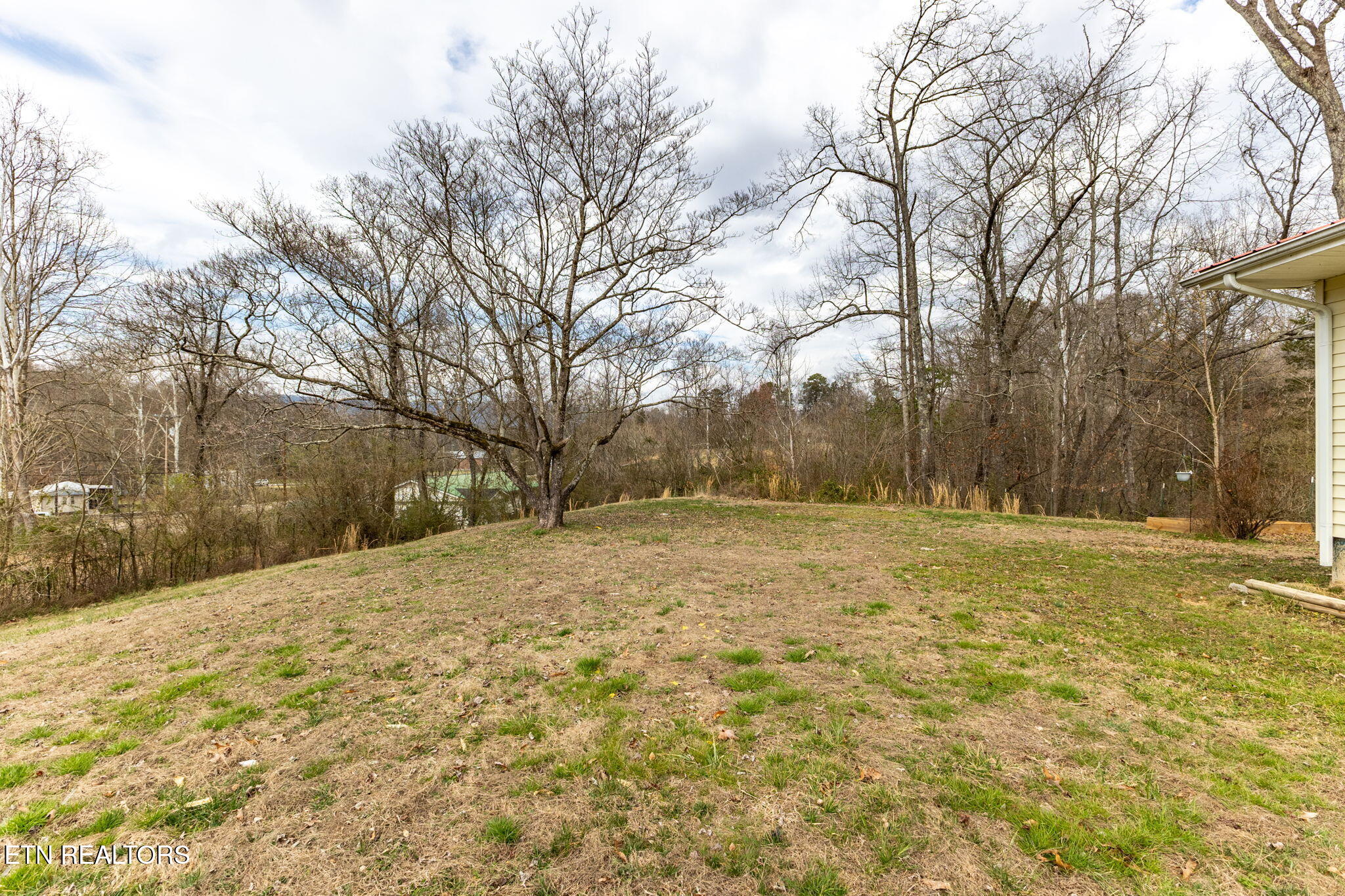 225 Capps Road Harriman, TN 37748 - Photo 51 of 58 52-web-or-mls-3F1A5036-HDR