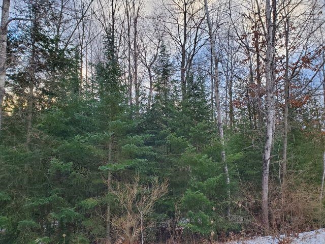 0 Sage Lake Road Lupton, MI 48635 - Photo 3 of 7