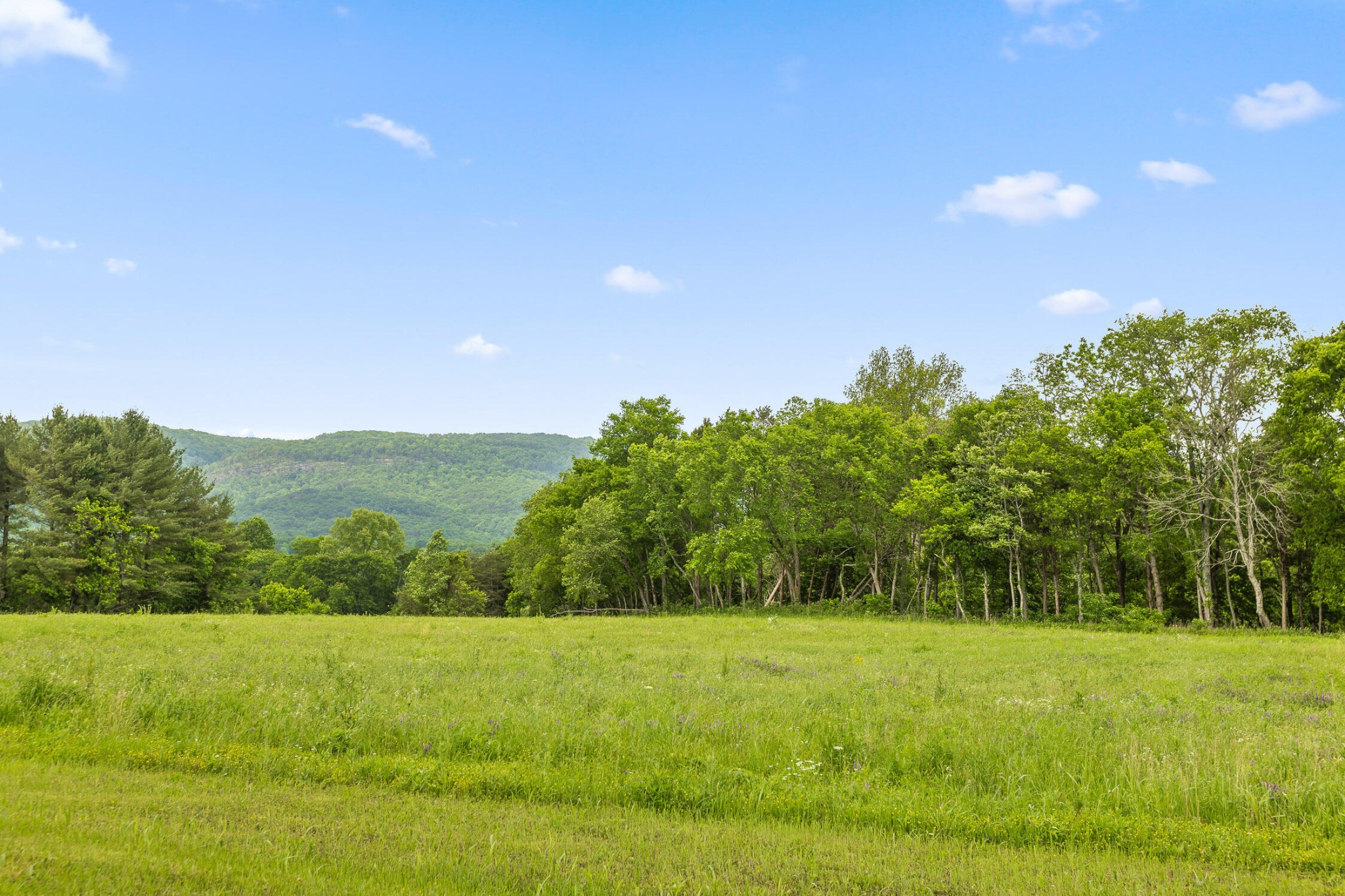 35 River Ridge Drive Dunlap, TN 37327 - Photo 12 of 35 a view of outdoor space and yard
