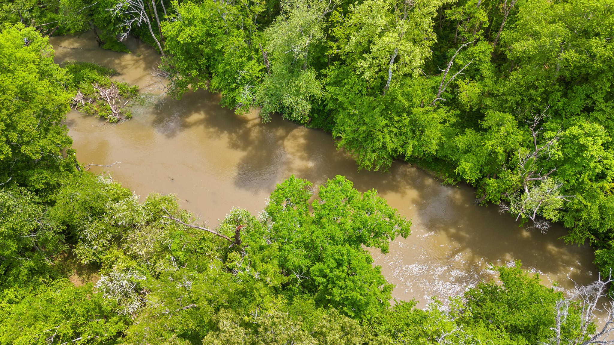 35 River Ridge Drive Dunlap, TN 37327 - Photo 21 of 35 a view of a lake in a forest