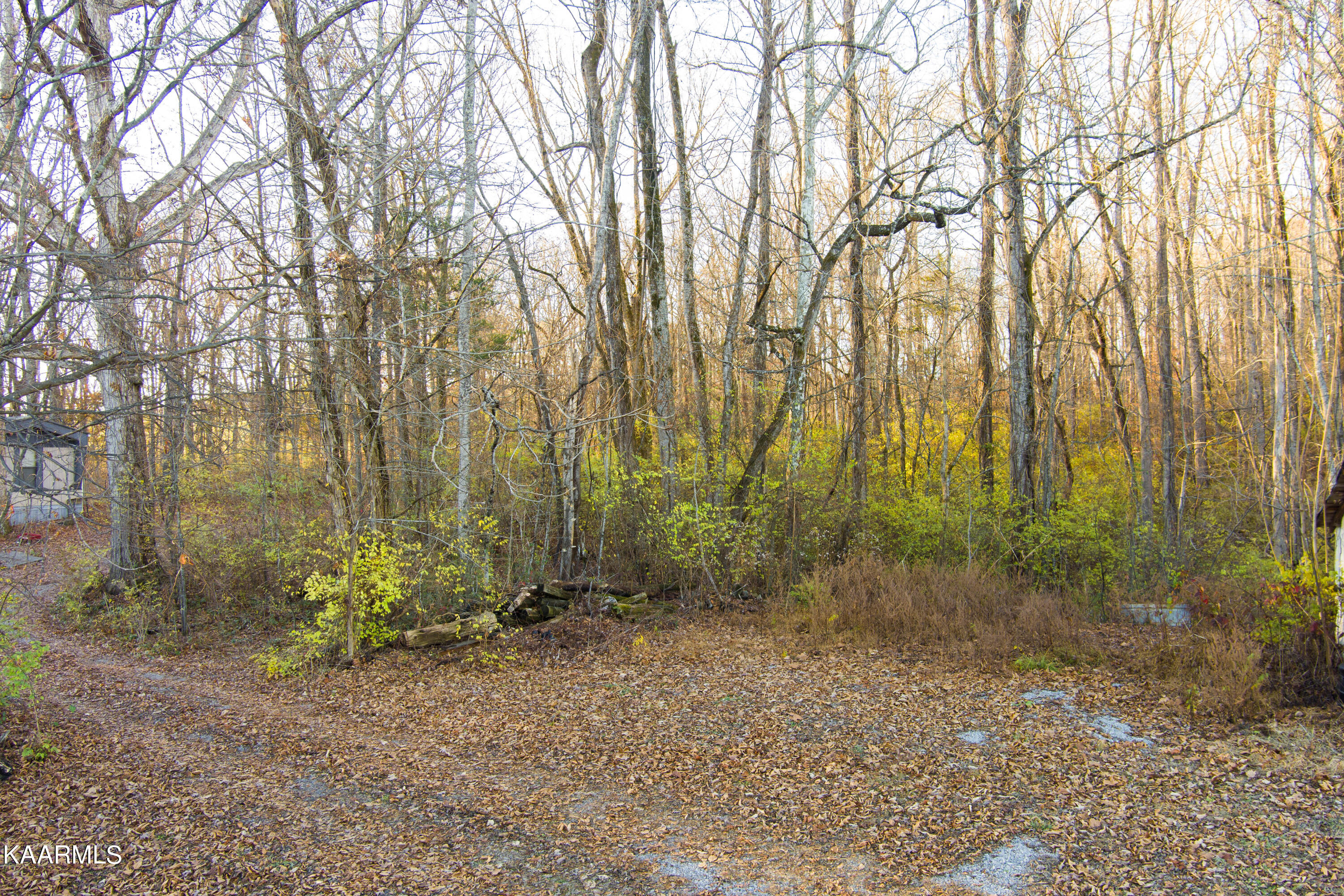 7909 Bell Road Knoxville, TN 37938 - Photo 12 of 24 BellRd-6