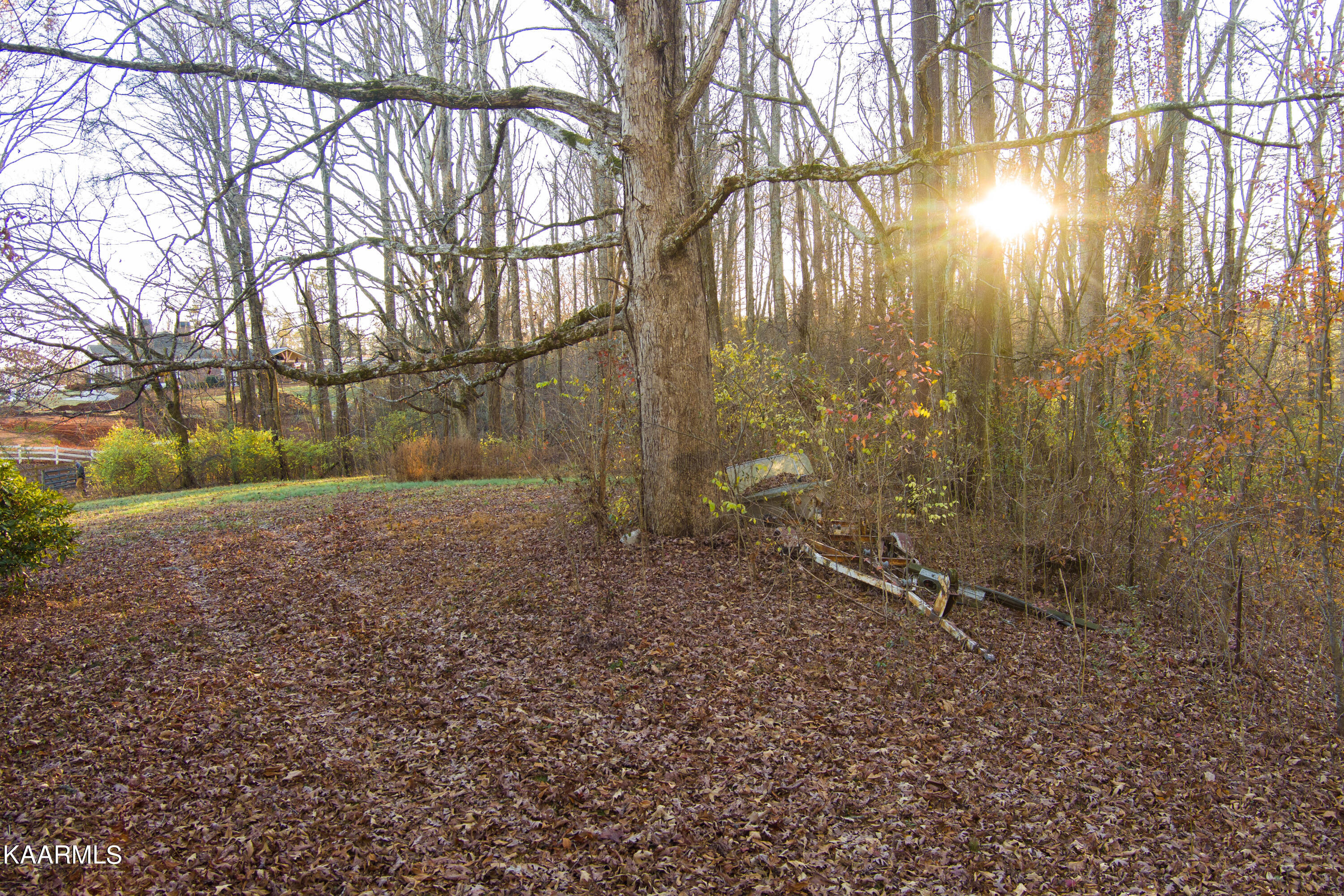 7909 Bell Road Knoxville, TN 37938 - Photo 13 of 24 BellRd-8