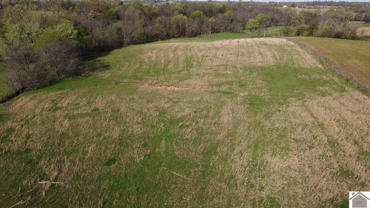 200 Dublin Hill Road Fancy Farm, KY 42039 - Photo 3 of 10 Photo 3