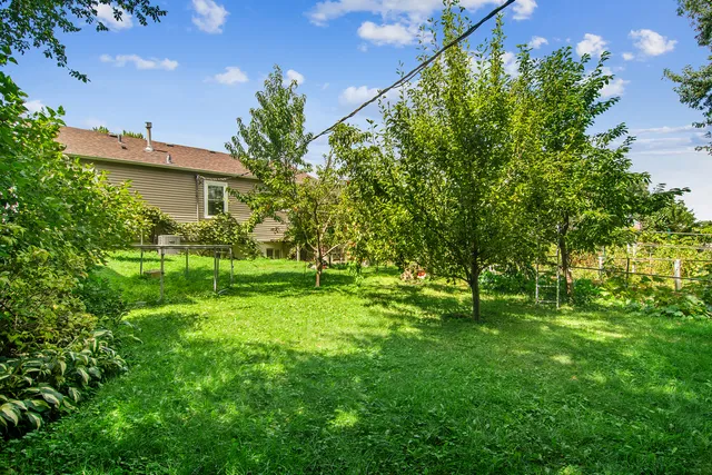 a green field with lots of trees