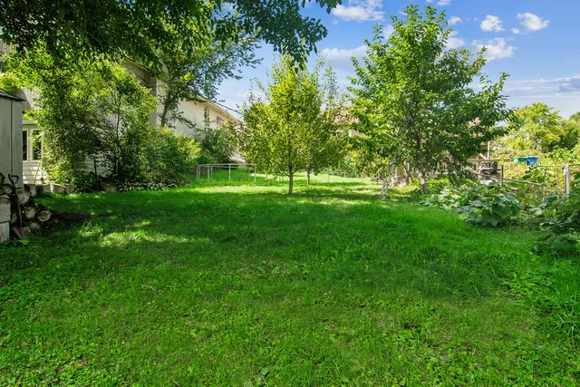 a view of a big yard with large trees