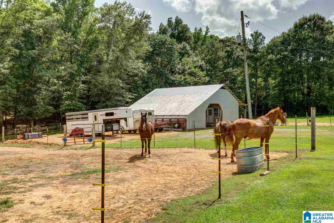 1665 Canoe Creek Road Springville, AL 35146 - Photo 24 of 24