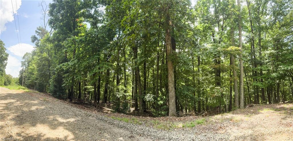 Tbd Spencer Ridge Road McGrady, NC 28649 - Photo 9 of 23 Gallery Image 9