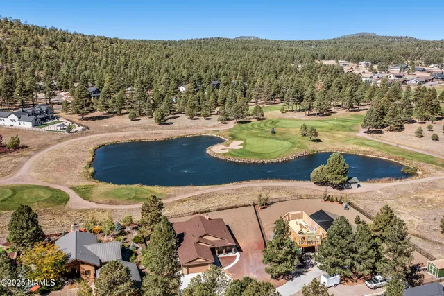 a view of a swimming pool with a yard