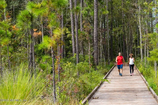 a street view with a garden