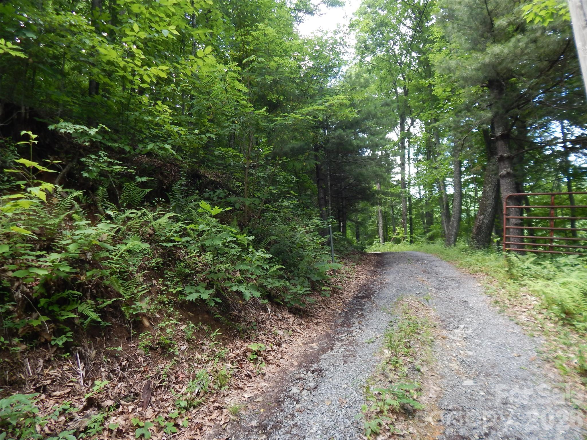 0 Hoot Owl Bill Road Maggie Valley, NC 28751 - Photo 3 of 37 a view of a lush green forest