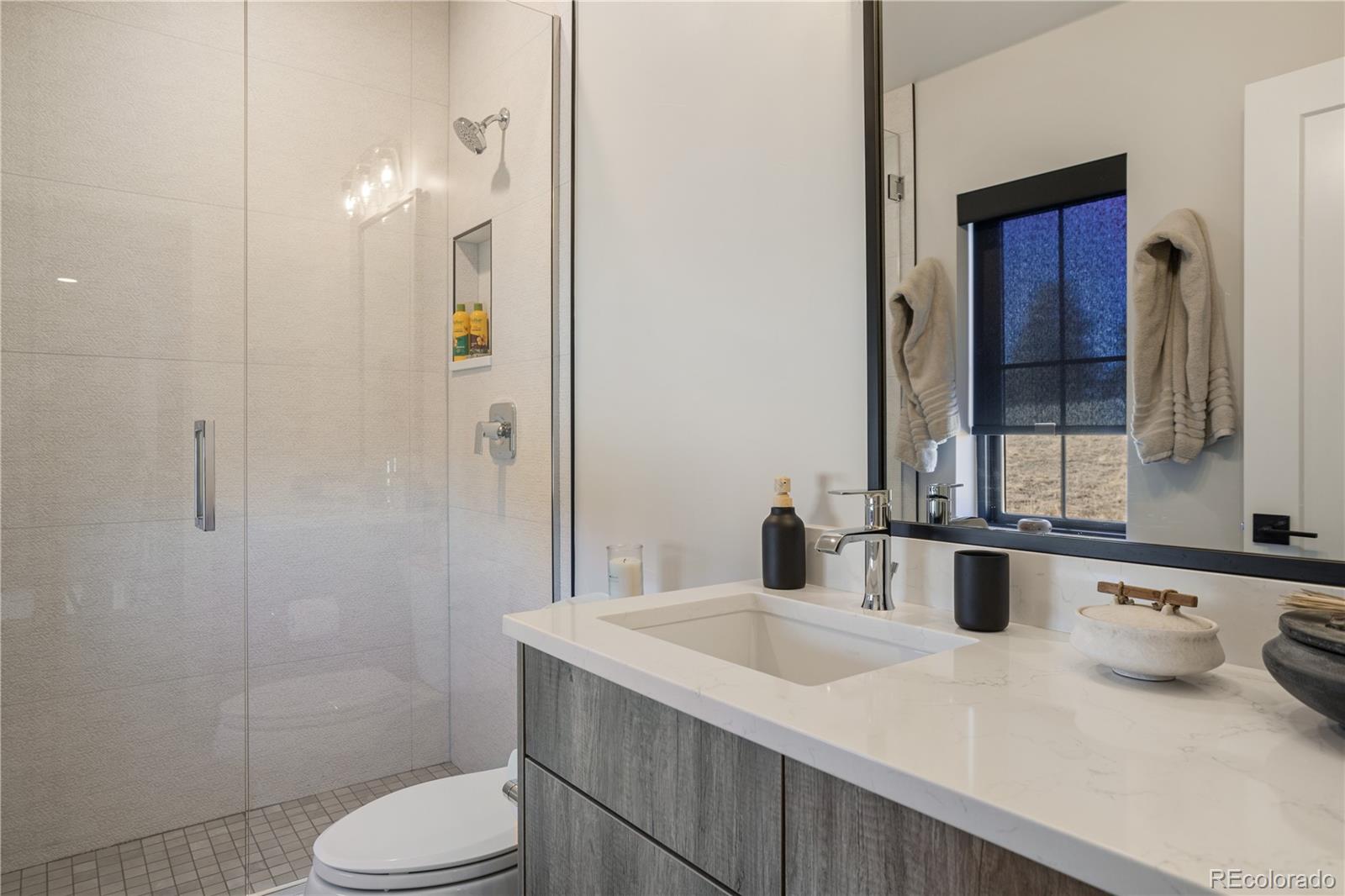 10621 Lone Fox Road Franktown, CO 80116 - Photo 45 of 50 a bathroom with a sink a toilet and shower